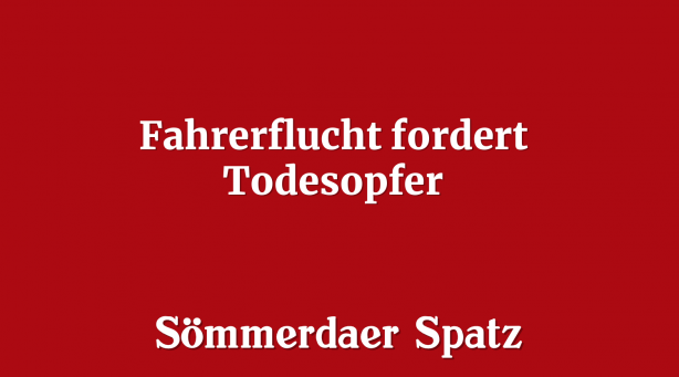 Fahrerflucht fordert Todesopfer