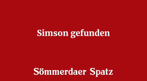 Simson gefunden