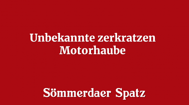 Unbekannte zerkratzen Motorhaube