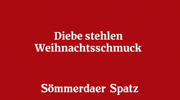 Diebe stehlen Weihnachtsschmuck