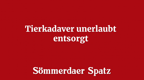 Tierkadaver unerlaubt entsorgt