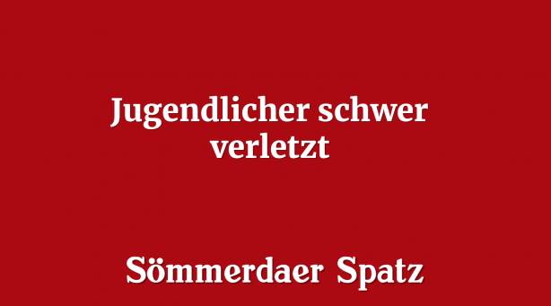 Jugendlicher schwer verletzt