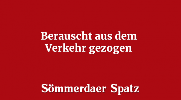 Berauscht aus dem Verkehr gezogen