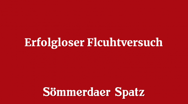 Erfolgloser Flcuhtversuch