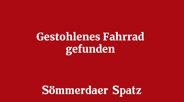 Gestohlenes Fahrrad gefunden