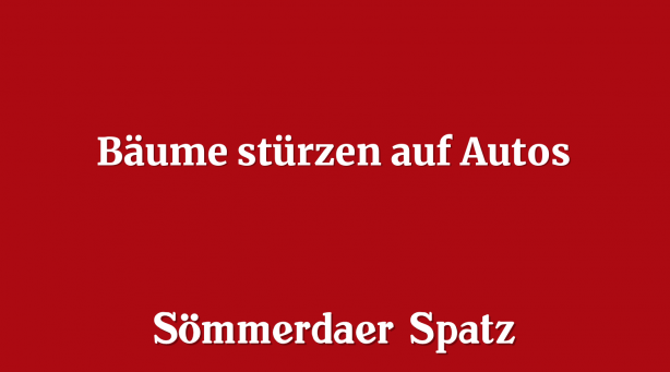 Bäume stürzen auf Autos