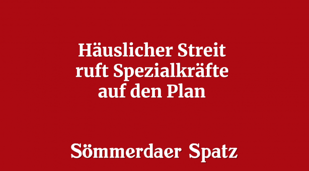Häuslicher Streit ruft Spezialkräfte auf den Plan