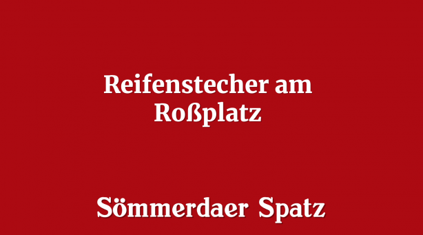 Reifenstecher am Roßplatz
