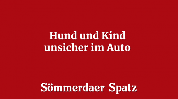 Hund und Kind unsicher im Auto